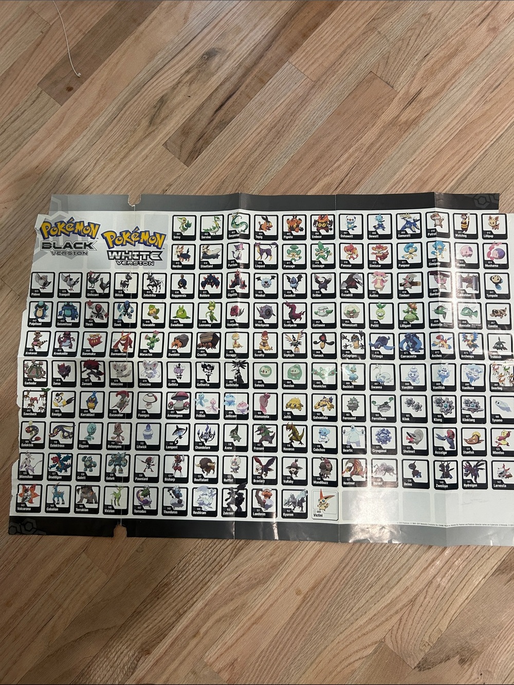 Pokemon Black and White posters